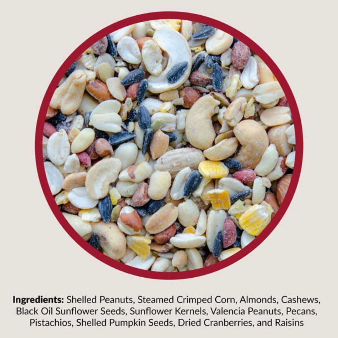 Fruit And Nut High Energy Mix – Lyric – 5 LB